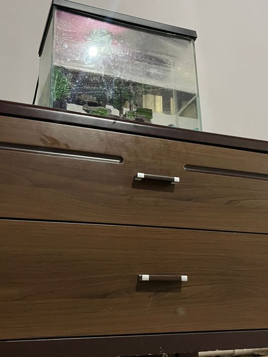 Аквриум сатылады Жаңа