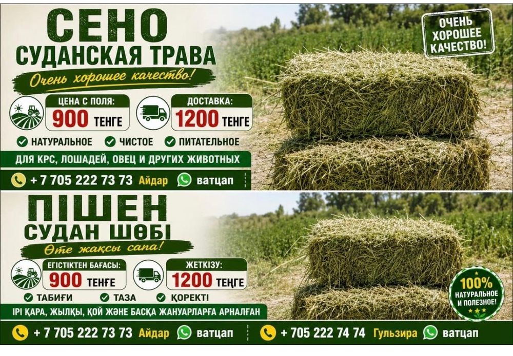 Суданка 1000 тенге доставка 800 самовывоз