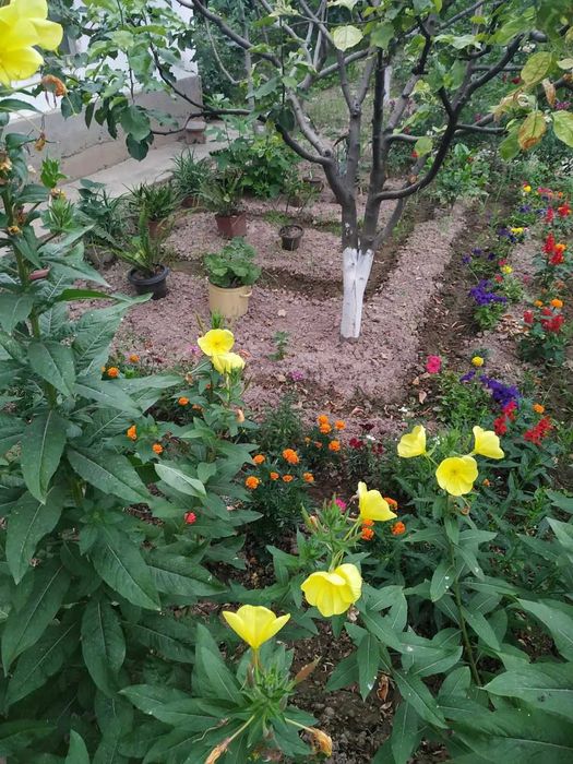 Продается Дом, участок 17 соток