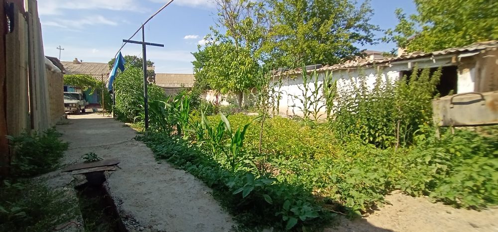 Hovli ham sharoit bor 7,5 sutik