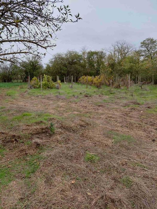 Продава се Къща в София, Дружба 1 - 216 кв.м за 380 €/кв.м - Снимка #13