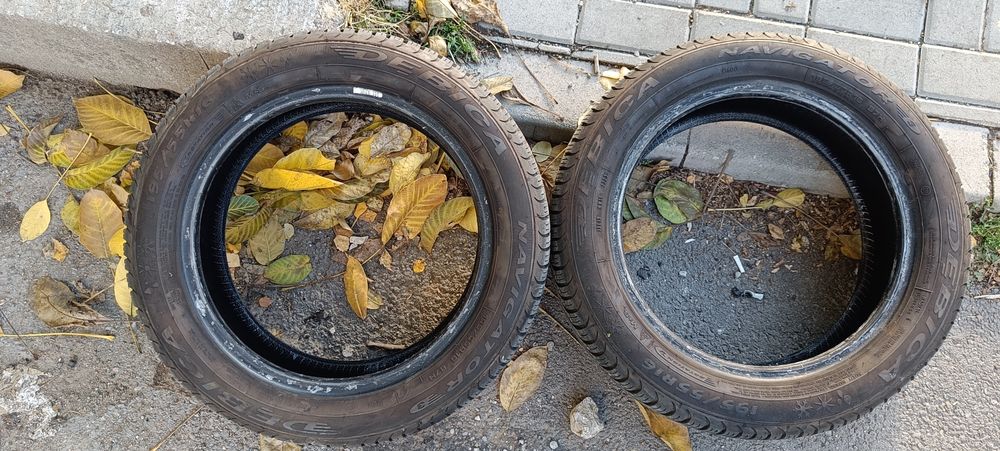 Дебица 195 55 16 Всесезонни