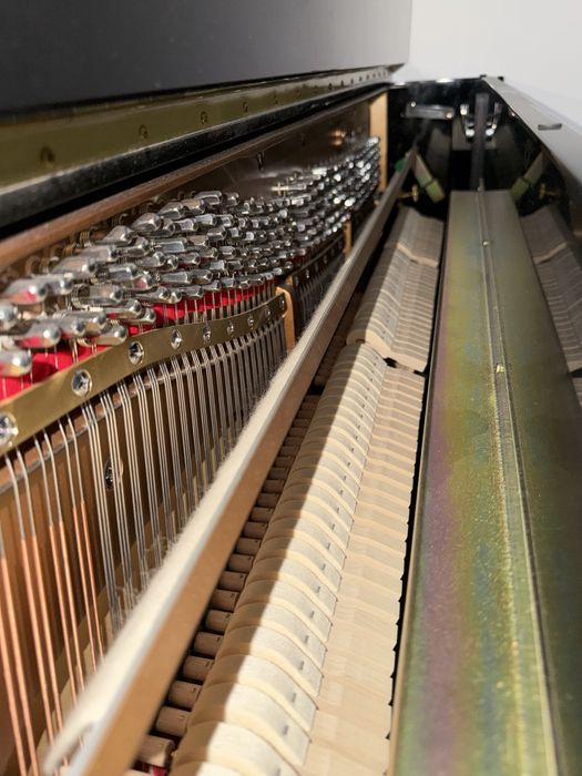 Pianina Essex Eup - 116