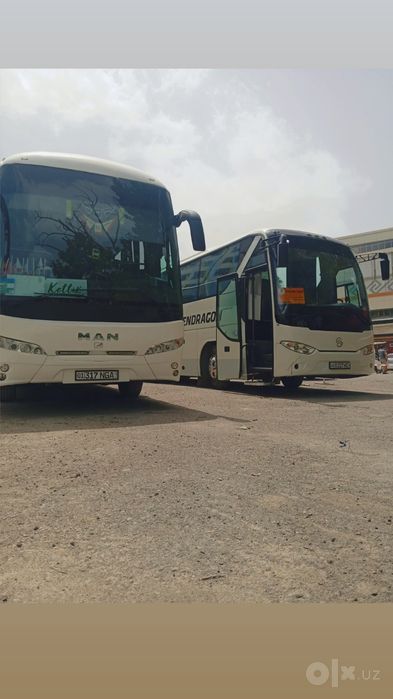 Avtobus Xizmati 51