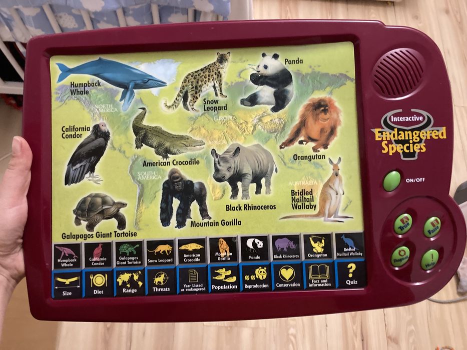 Tableta interactiva lb engleza