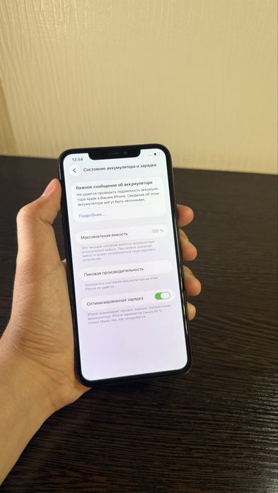 iPhone 11 Pro Max 256,100%