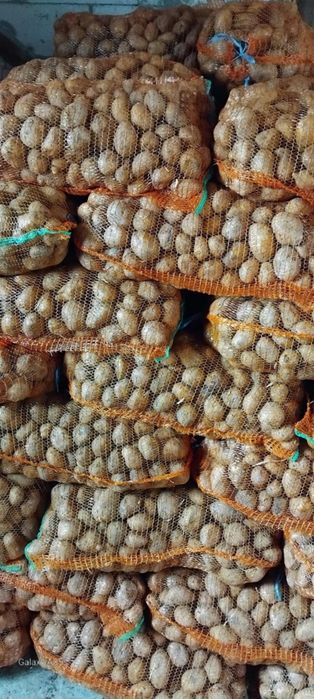 Cartofi Ultra de vânzare