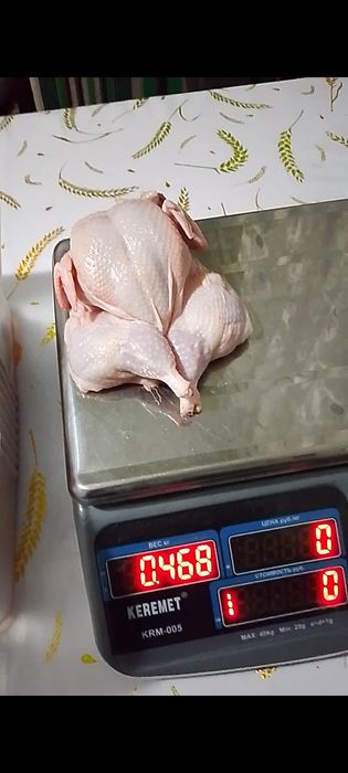 Мясо домашней перепёлки