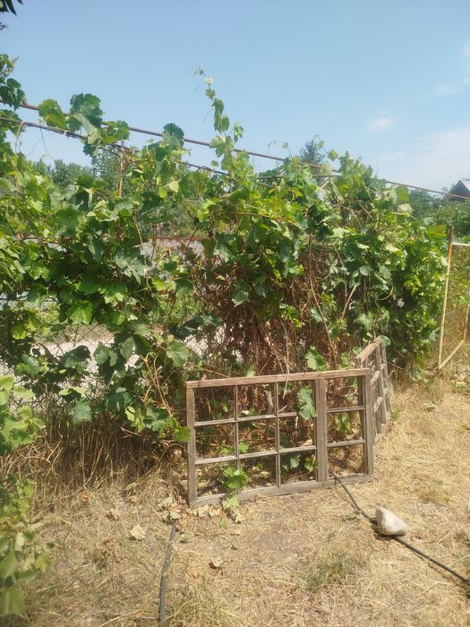 Продается дачный участок