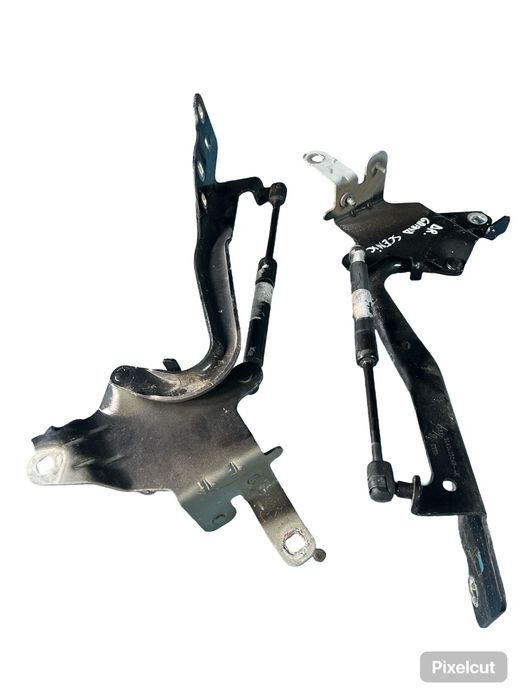 Balamale Capota Motor ( Stanga , Dreapta) Renault Scenic Iii Jz0/1_ 20