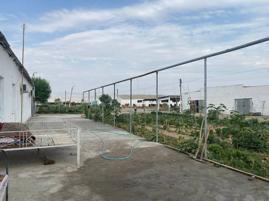 Продаётся фермерское хозяйство