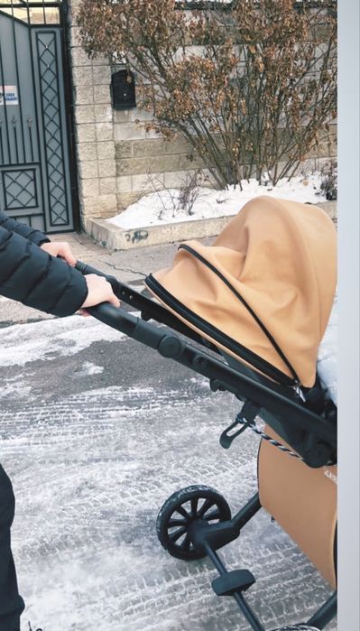 Детская коляска Anex 2 в 1