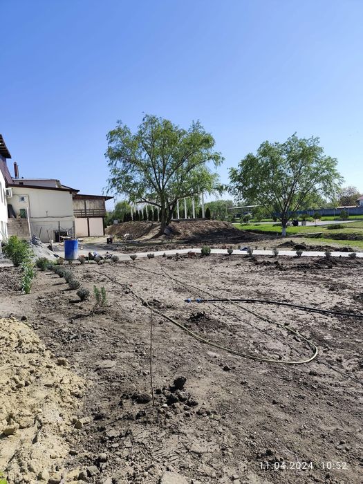 Rulouri de Gazon - Amenajare