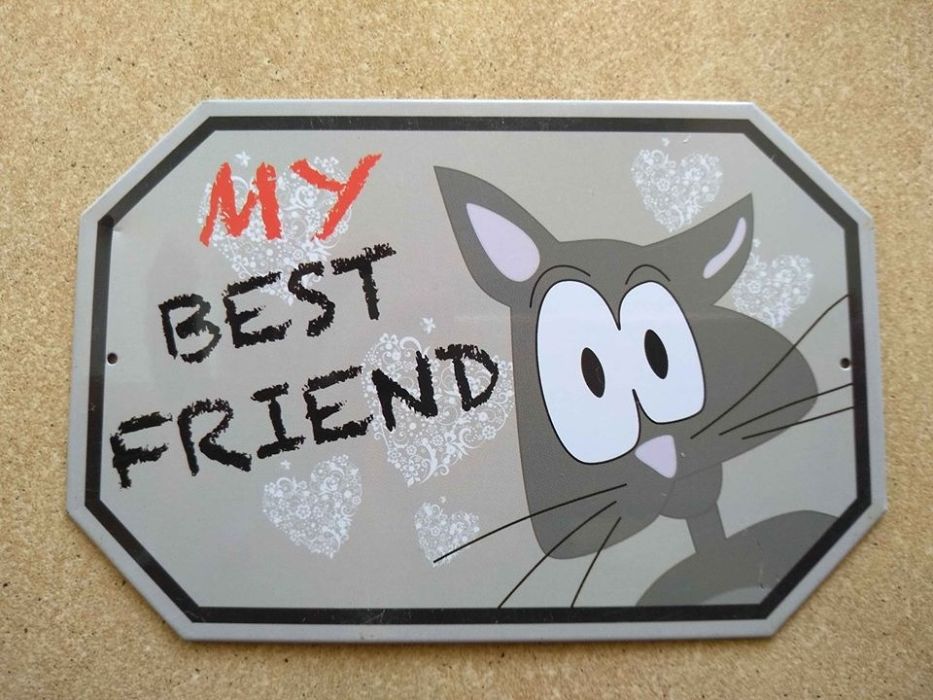 Tabla metalica animata. Pret fix.