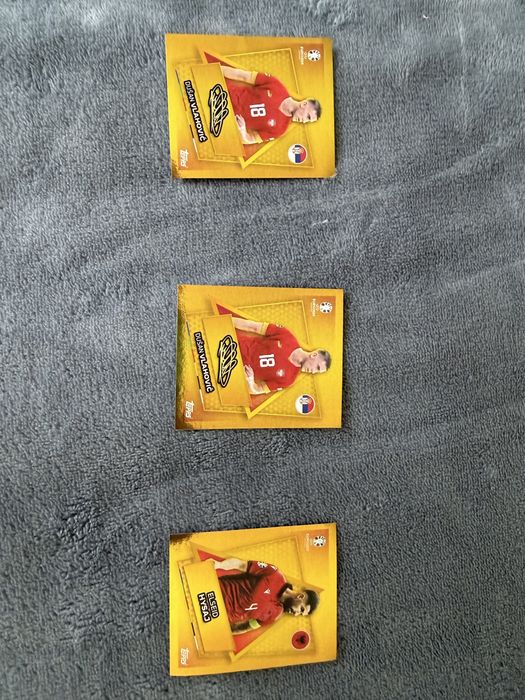 Vand Stickere Euro 2024
