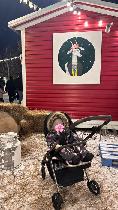 Продам коляску anex iq