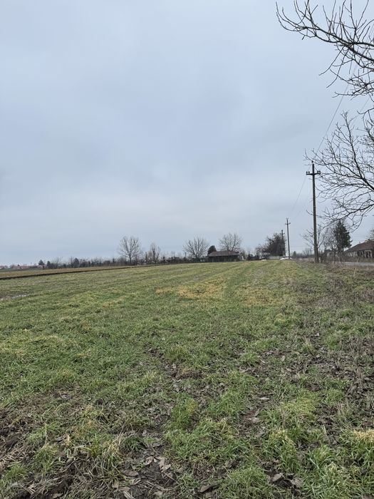 Vand teren extravilan 5000 mp