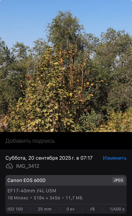 Canon EF 17-40 f4 L usm в идеале