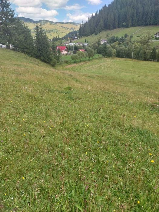 Teren 24134 mp Ciocanesti, Jud. Suceava