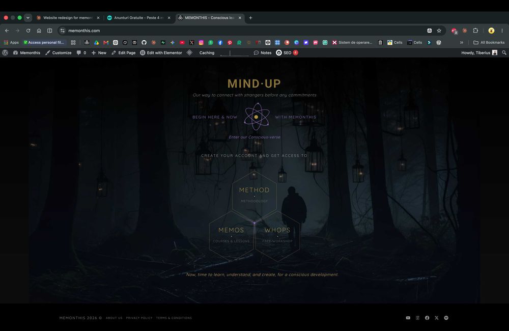Website de la zero — design unic, bază de date, identitate vizuală completă
