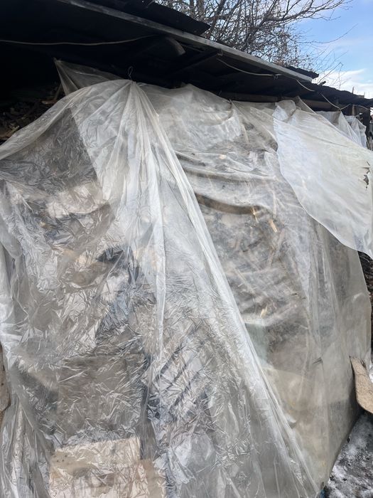 Продам дрова срочно