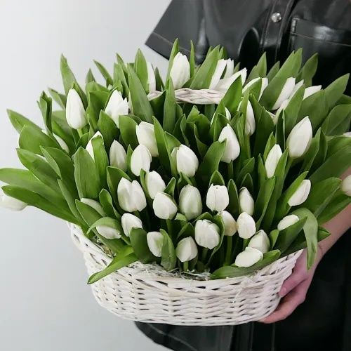 Тюльпаны крупные