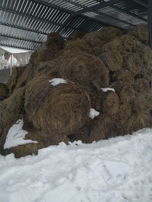 Vând baloti de fân, citește anunțul!