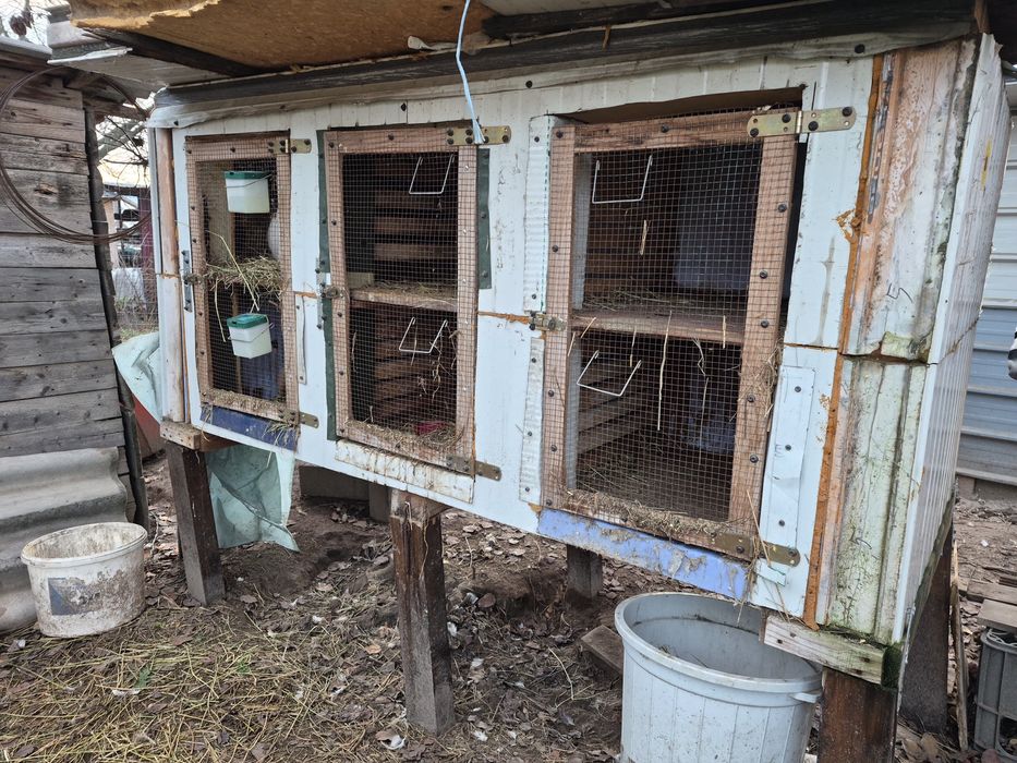 Cuști iepuri/pui gaina