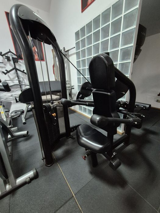 Presă triceps Matrix Aura !!!