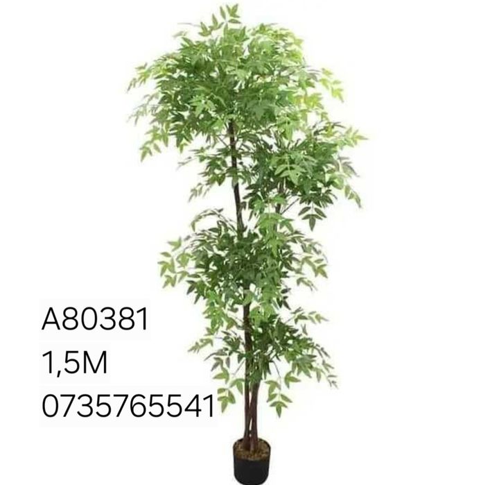 Palmier maslin copac exotic frunze cu aspect natural