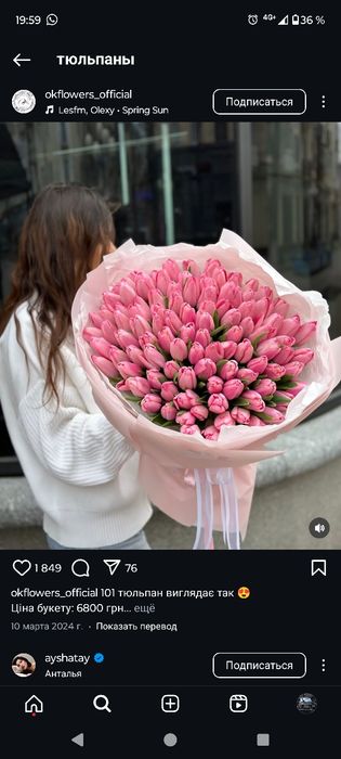 Тюльпаны опт по 500тг до 25 февраля