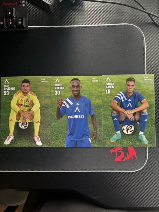 Левски София Карти 2024/25