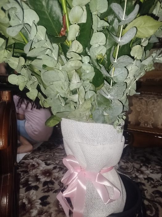 Цветы розовые розы