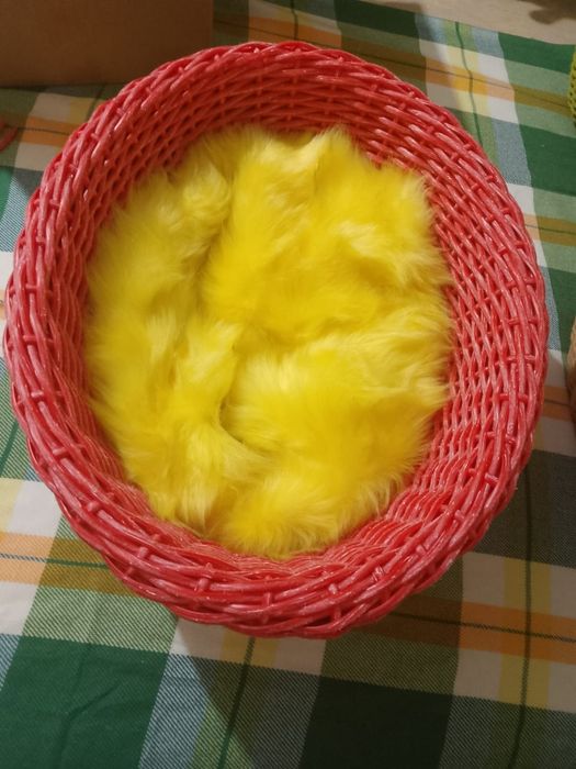 Лежаки для животных