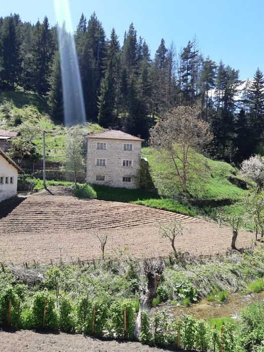 Продава се Къща в Смолян, Нов център - 500 кв.м за 110 €/кв.м - Снимка #9