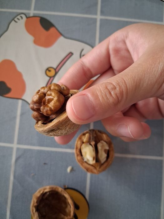 Продам грецкий орех