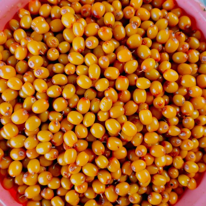 Продам замороженную облепиху