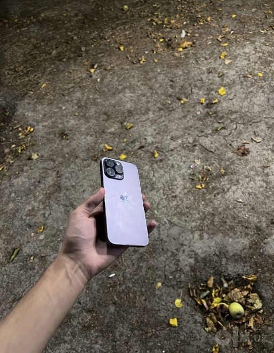 iPhone 14 pro max