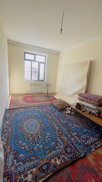 Kvartira qizlar uchun sheriklikga