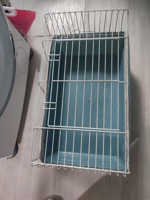 Продам Шиншилл серый окрас