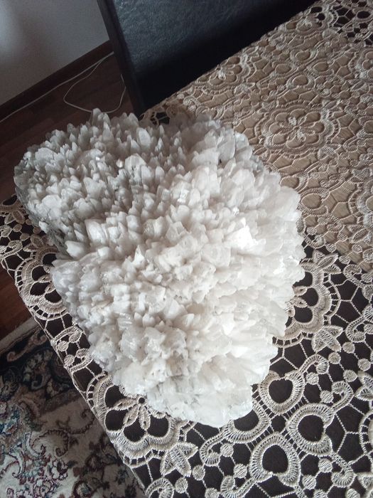 Vând flori de mina .floarea intunericului Preț 6000