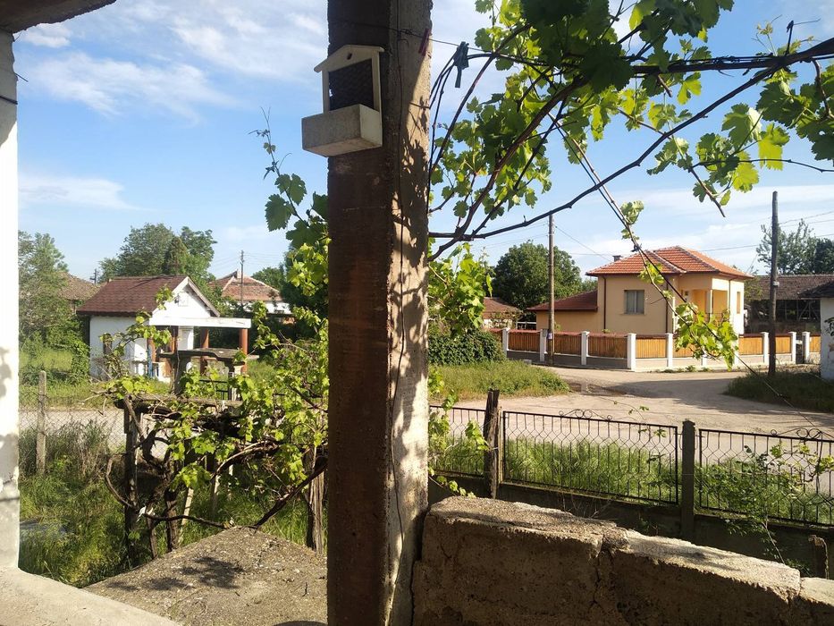 Къща село Връв  обл. Видин.