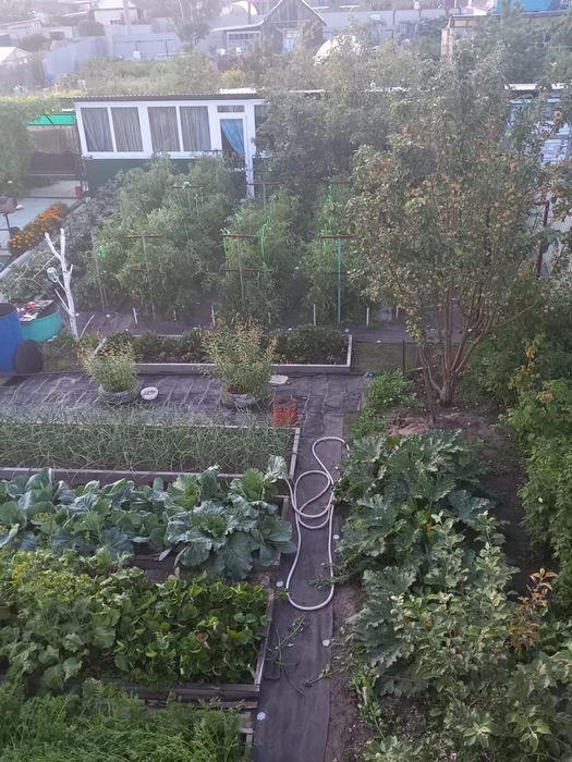 Продам хорошую дачу