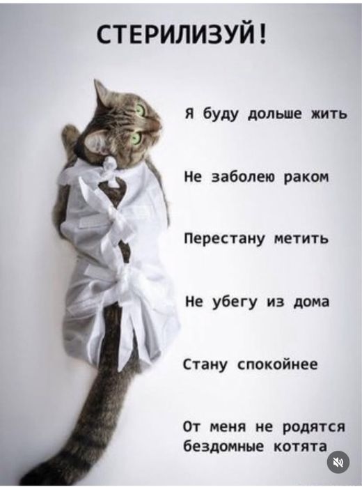 Ветеринар ветврач выез на дом