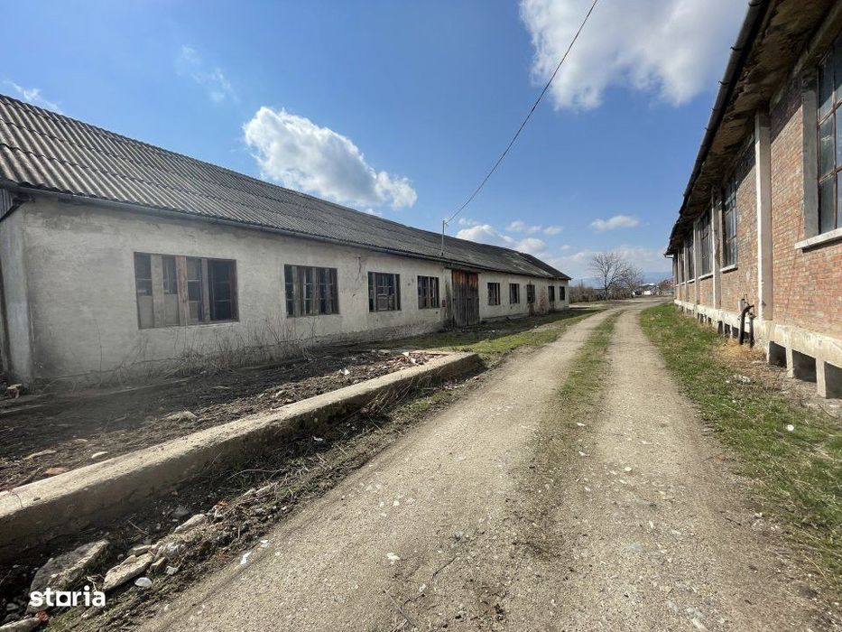 Teren intravilan 16058 mp + hale Calea Surii Mici