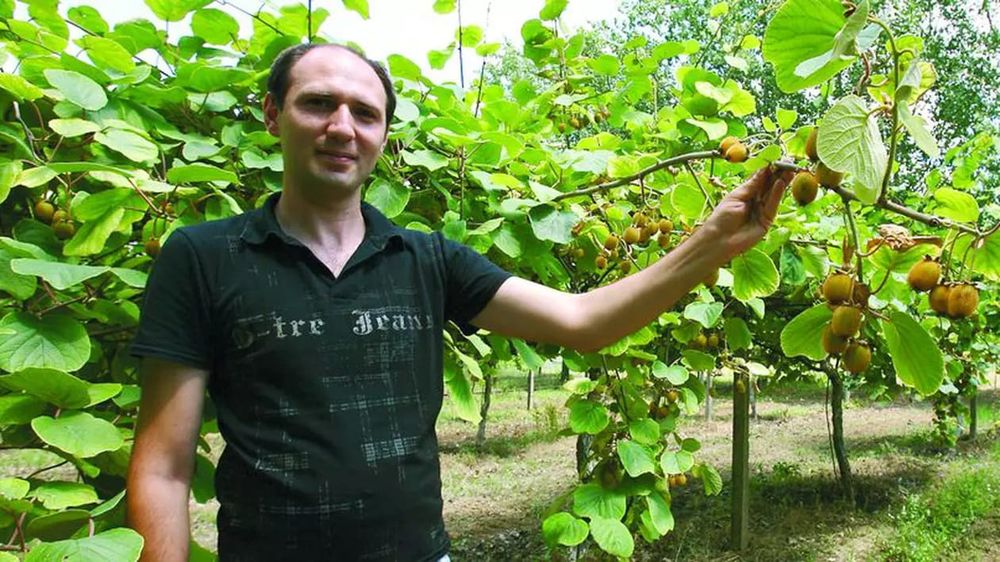 Kiwi la Ghiveci anul 5