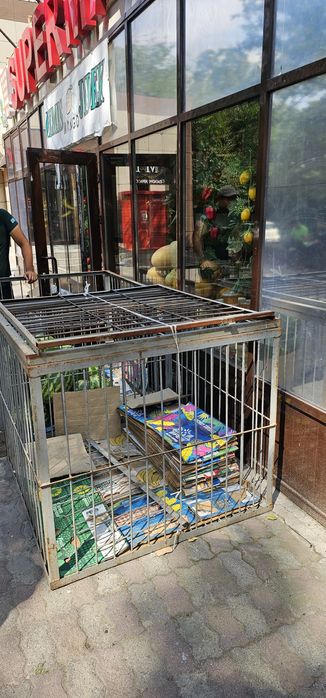 Решетчатый ,металлический бокс для арбуза дыни.