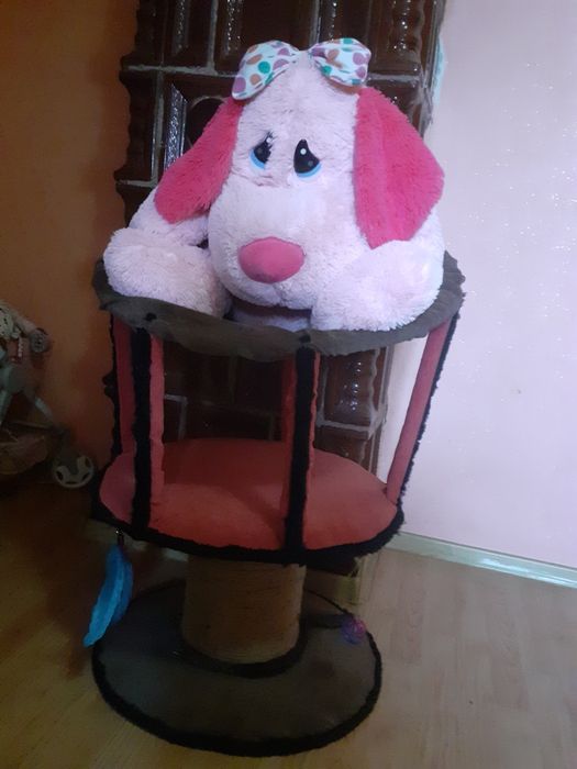 Ansamble pentru pisicuțe