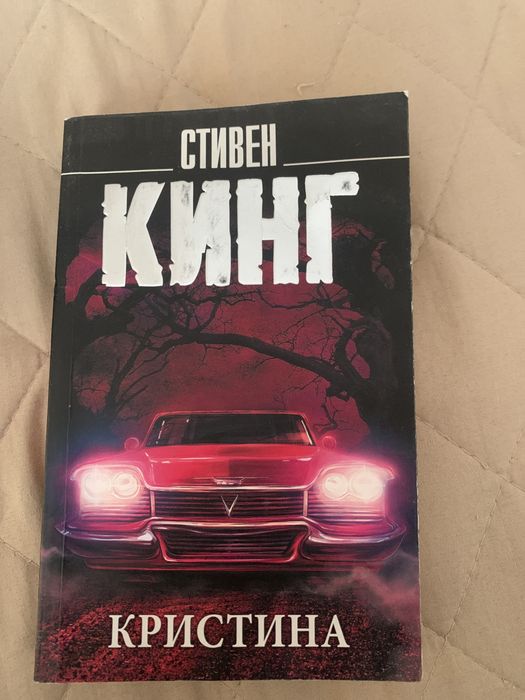 Книга «Кристина»