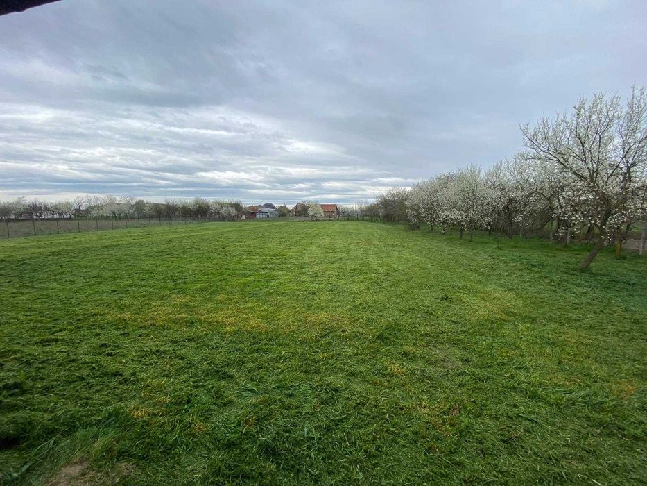 Vand Casa Sintea Mare - 2880 MP Teren